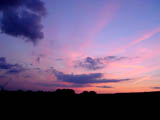 Wittenham Clumps (i)